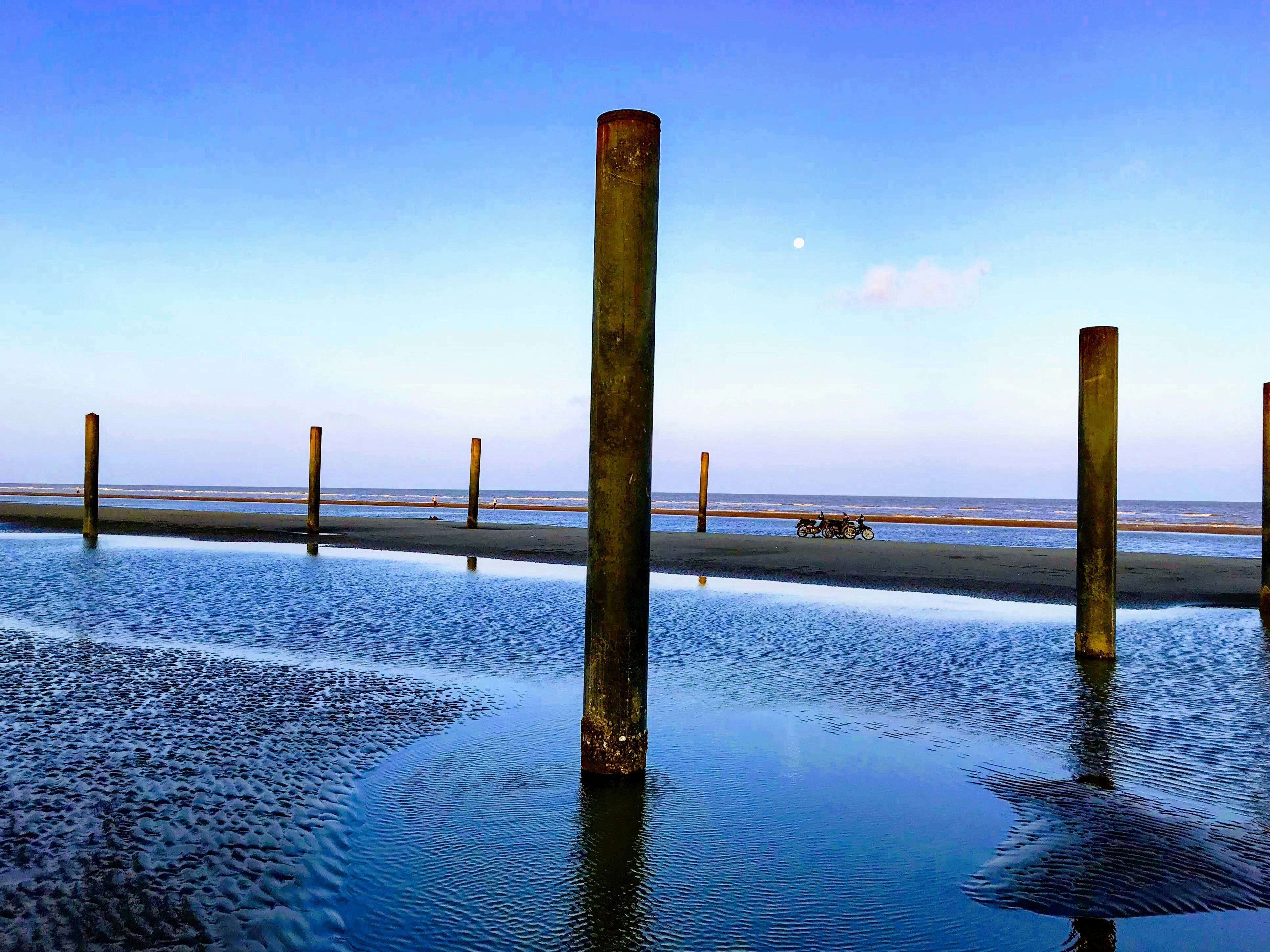 brown wooden post lot in seashore