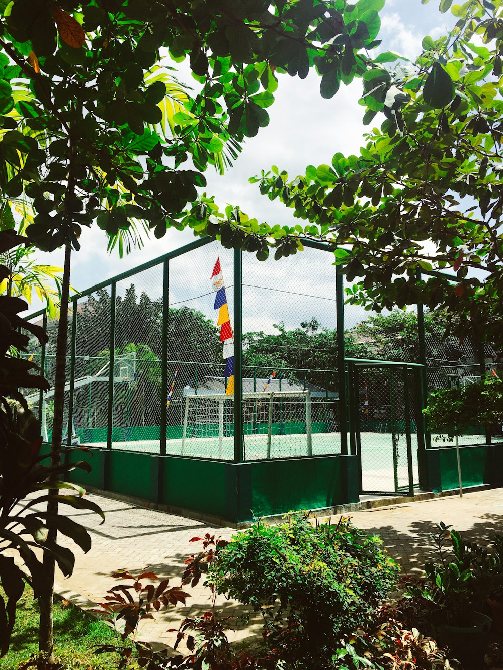playing court near trees