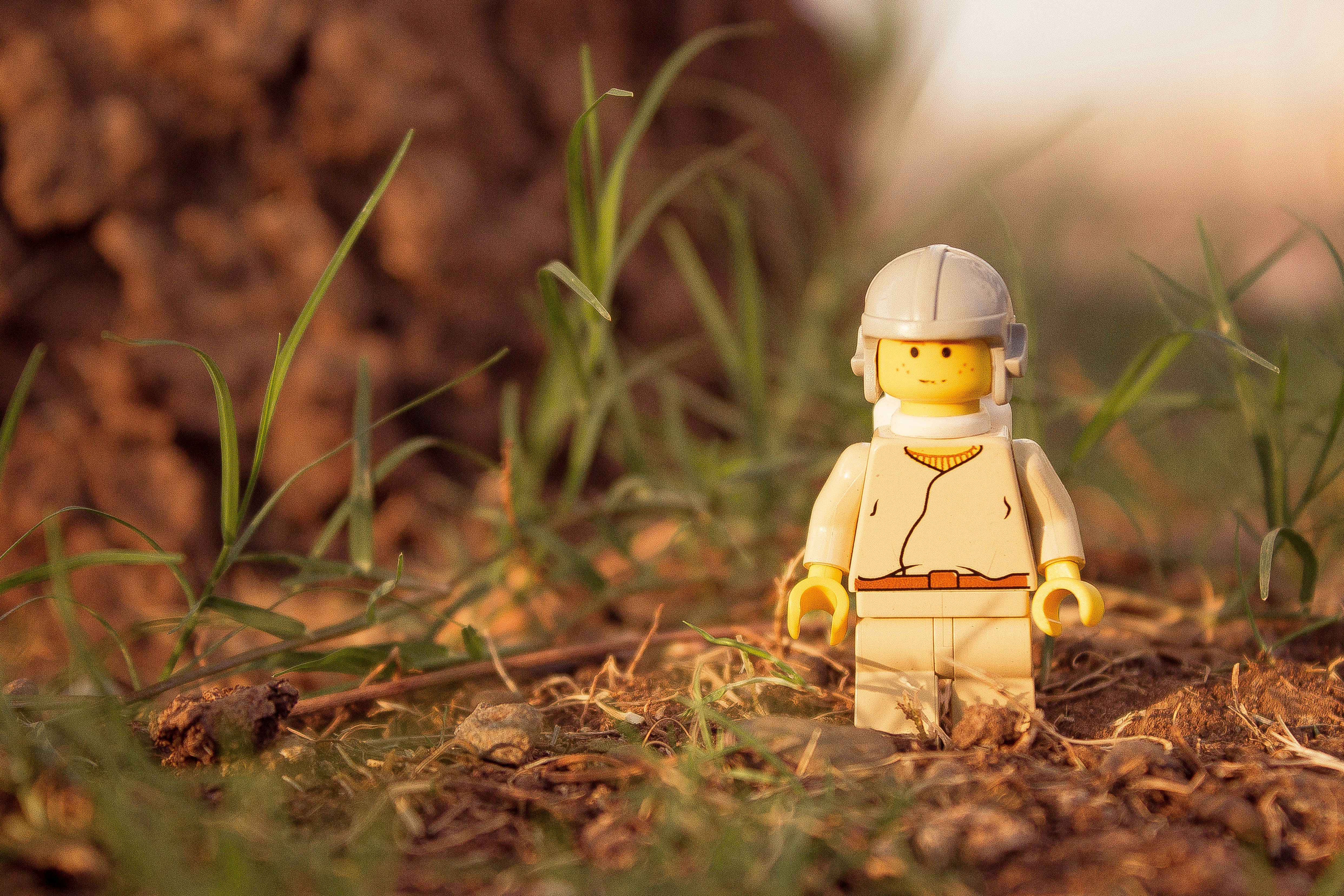 Photo by dhruvsaranmehra