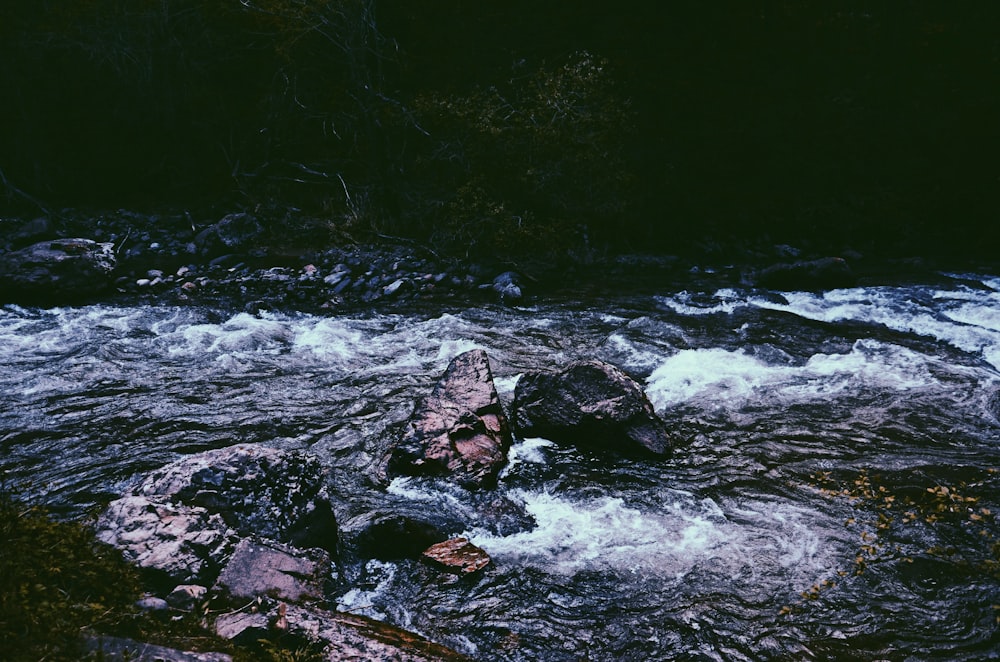 river and gray rocks