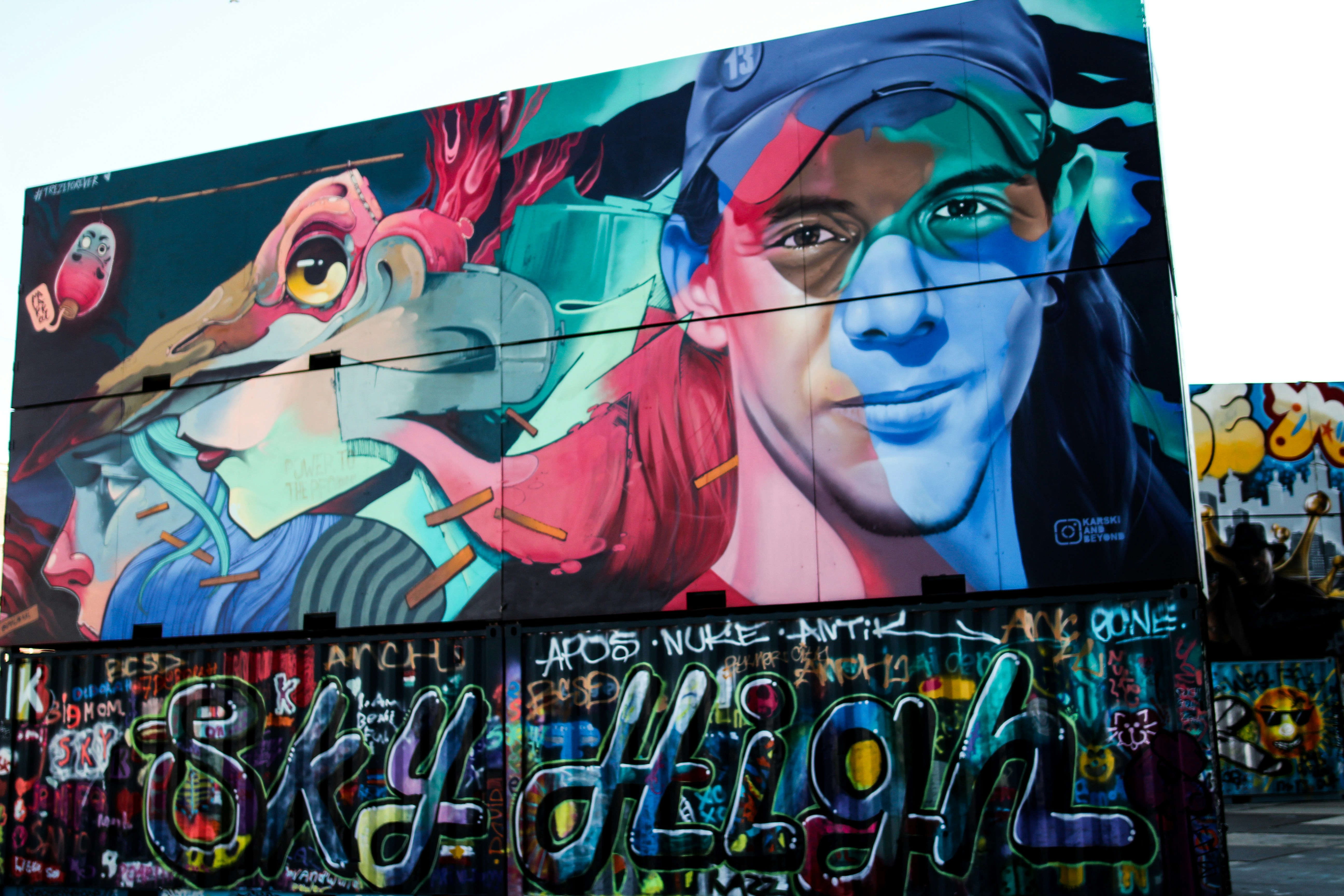 man's face wall art