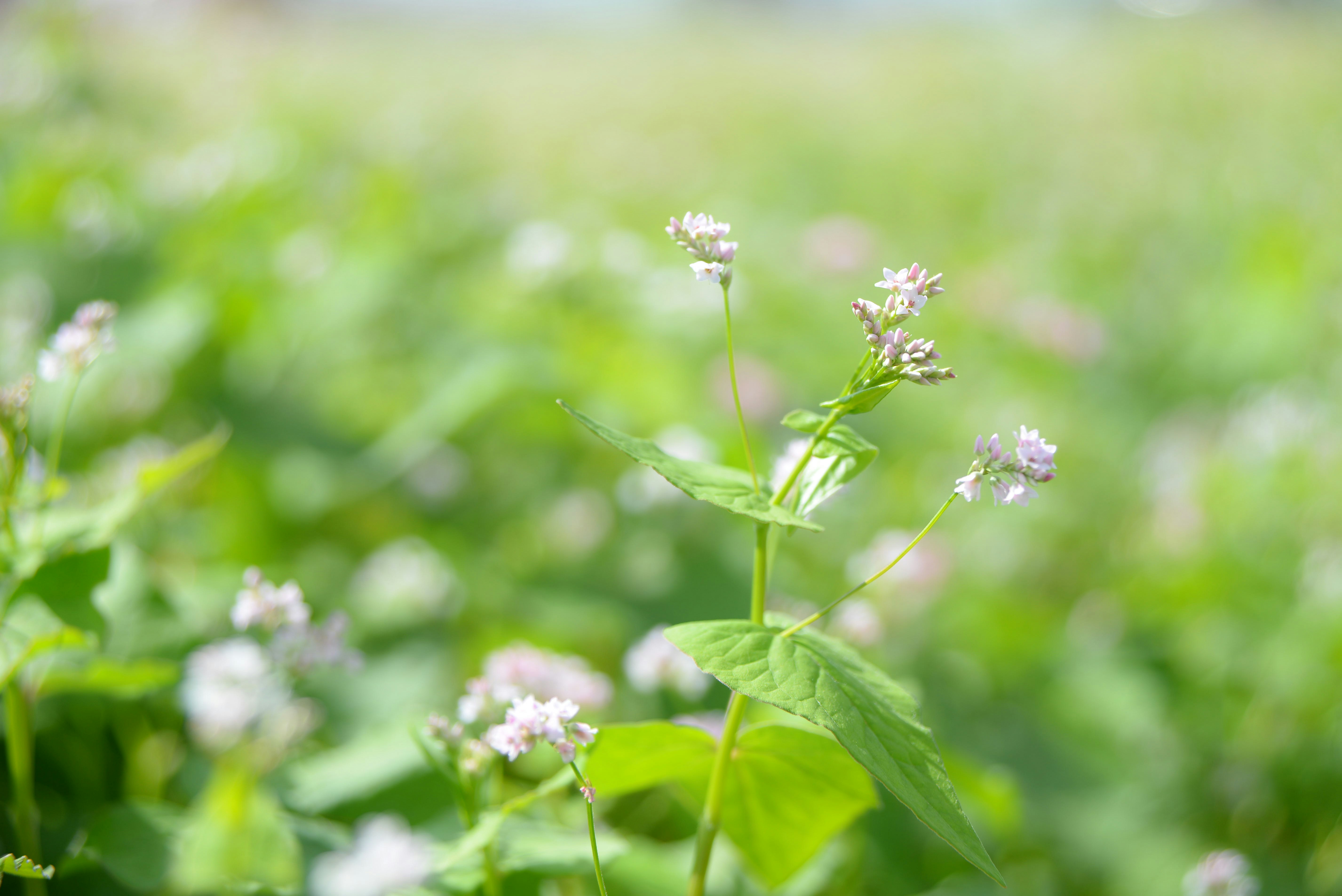 Photo by nguyenhuuquan