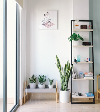 A sunlit corner of a room decorated with plants and quirky decor pieces.
