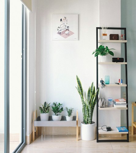 Estantería metálica blanca con plantas en una sala