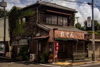 brown 2-story house under cloudy sky