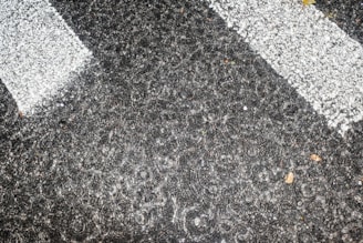 Raindrops create concentric ripples on a wet asphalt surface, with two parallel white lines visible. The texture of the asphalt and the pattern of water rings are prominent.