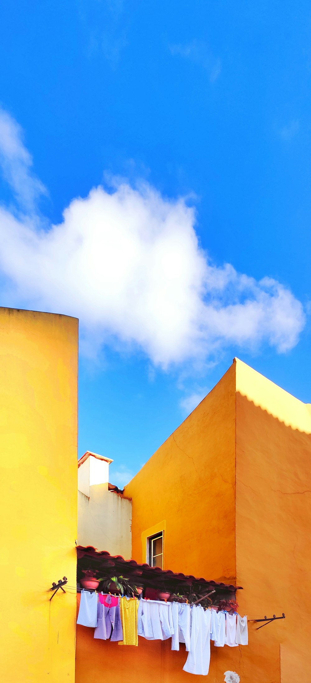 clothes on roof