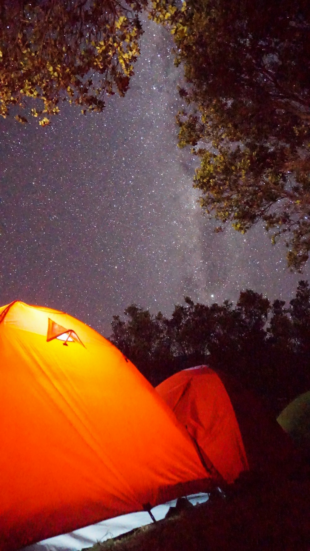 lighted dome tents on field under starry night