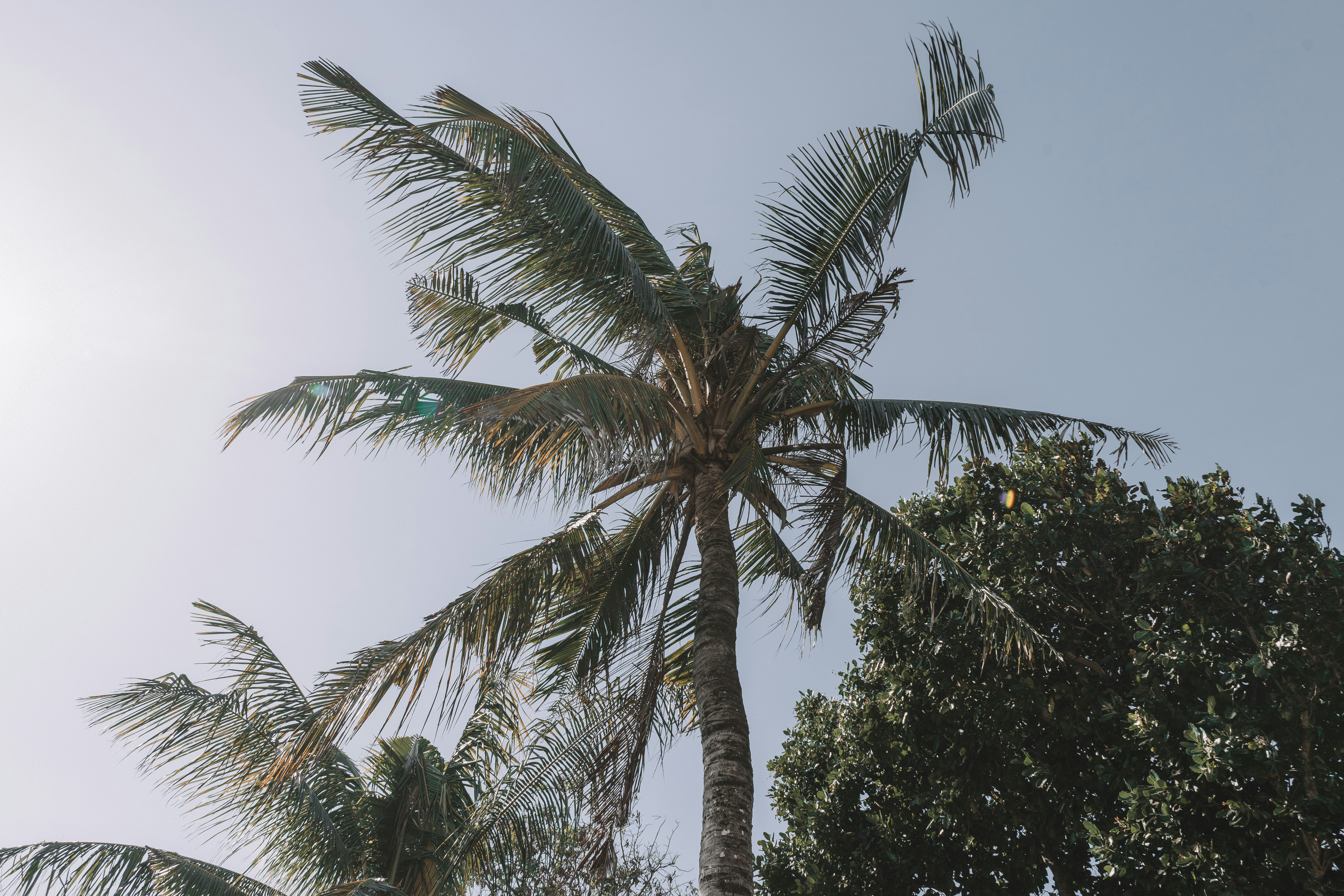 Photo by nicolasjleclercq