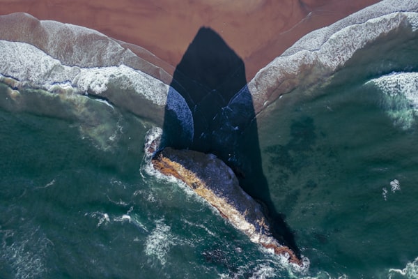 Top-down photograph of a large, thin rock at the seashore casting a long shadow.