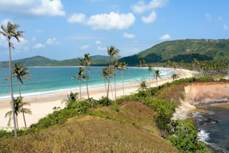 A picturesque beach on the Pacific coast of Panama.