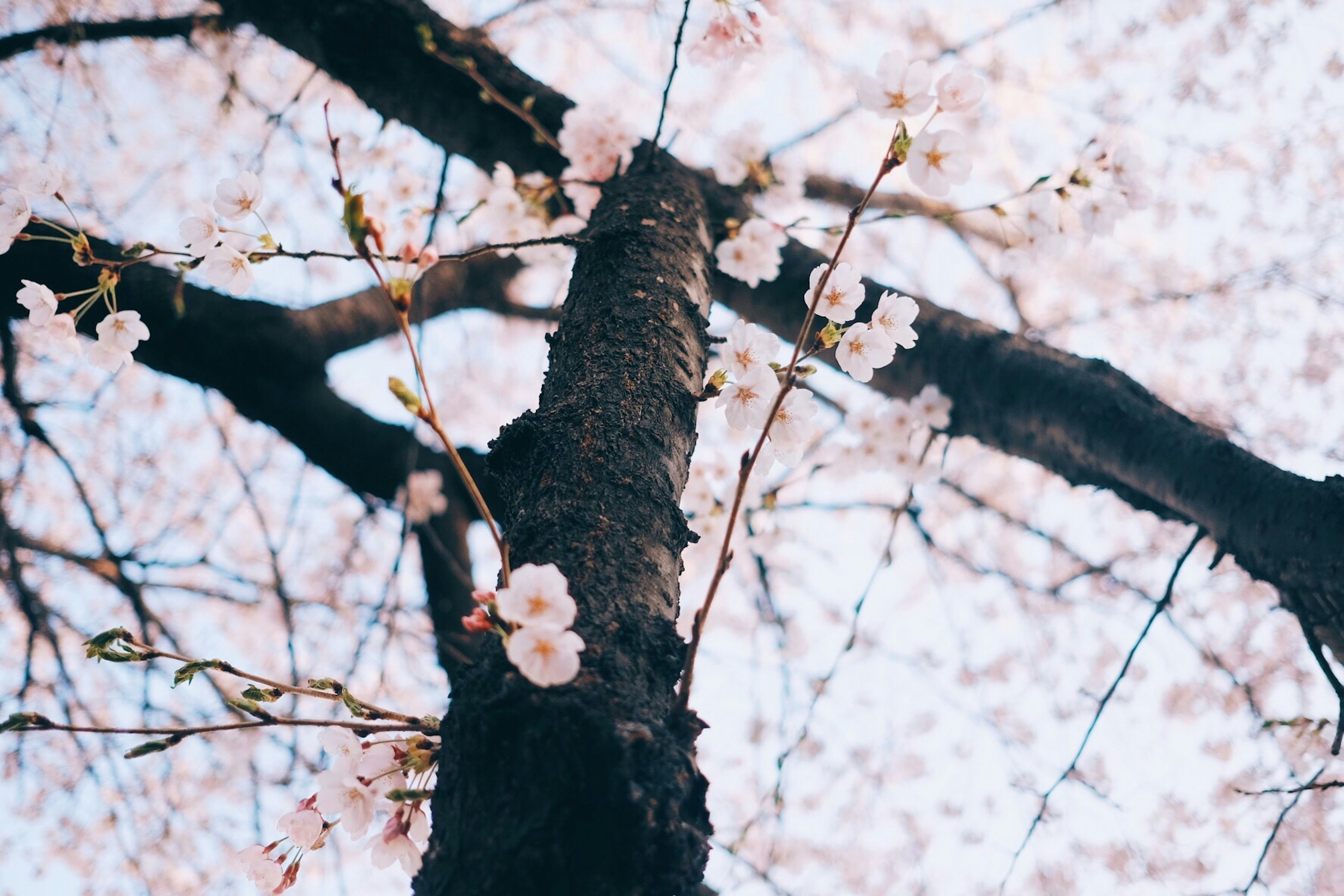 Photo by sevenjournal