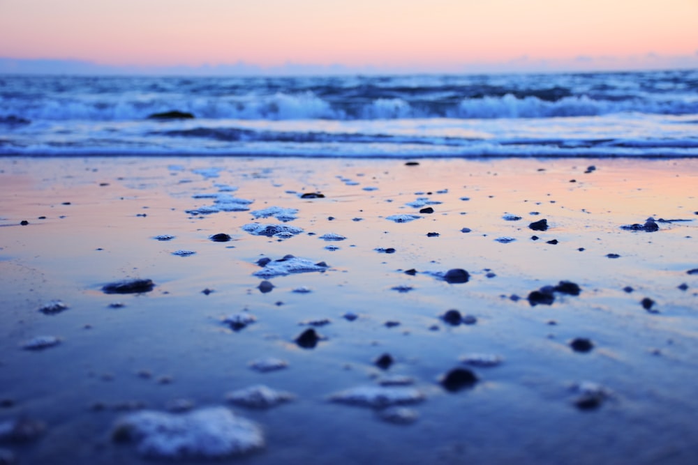 seashore during golden hour