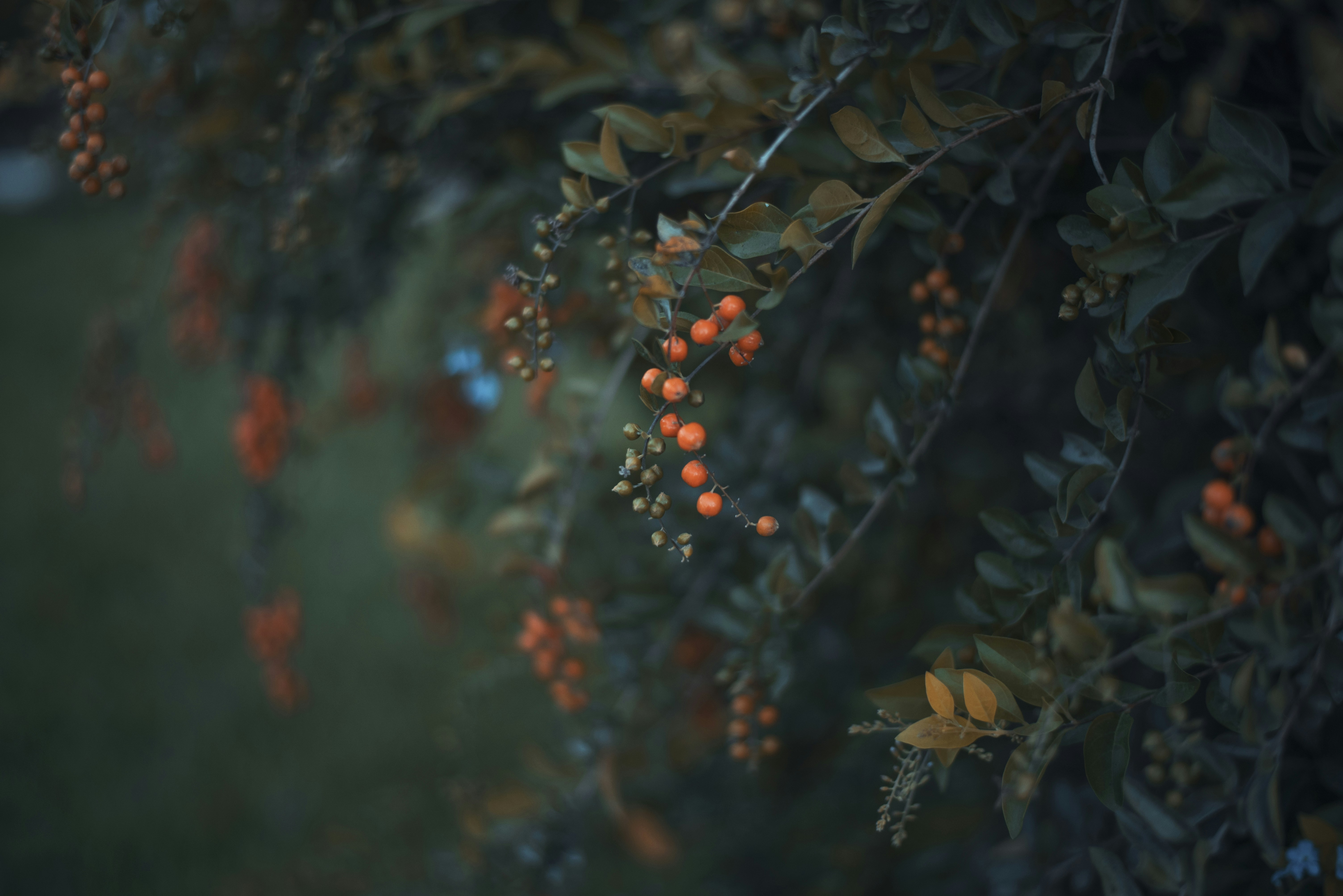 500+ Color Grading Pictures [HD] Download Free Images on Unsplash