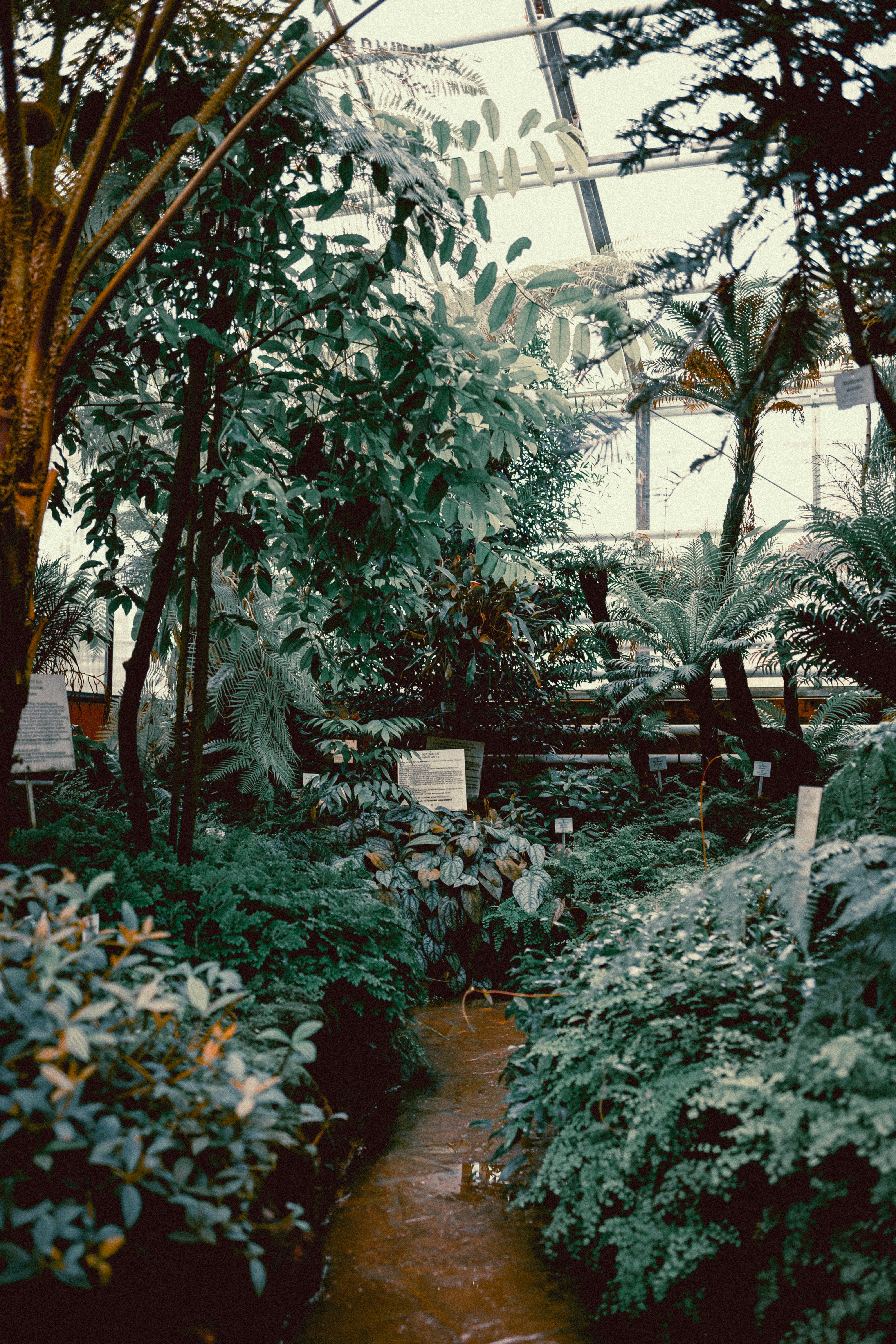 Digital Public Squares That Don't Become Toxic