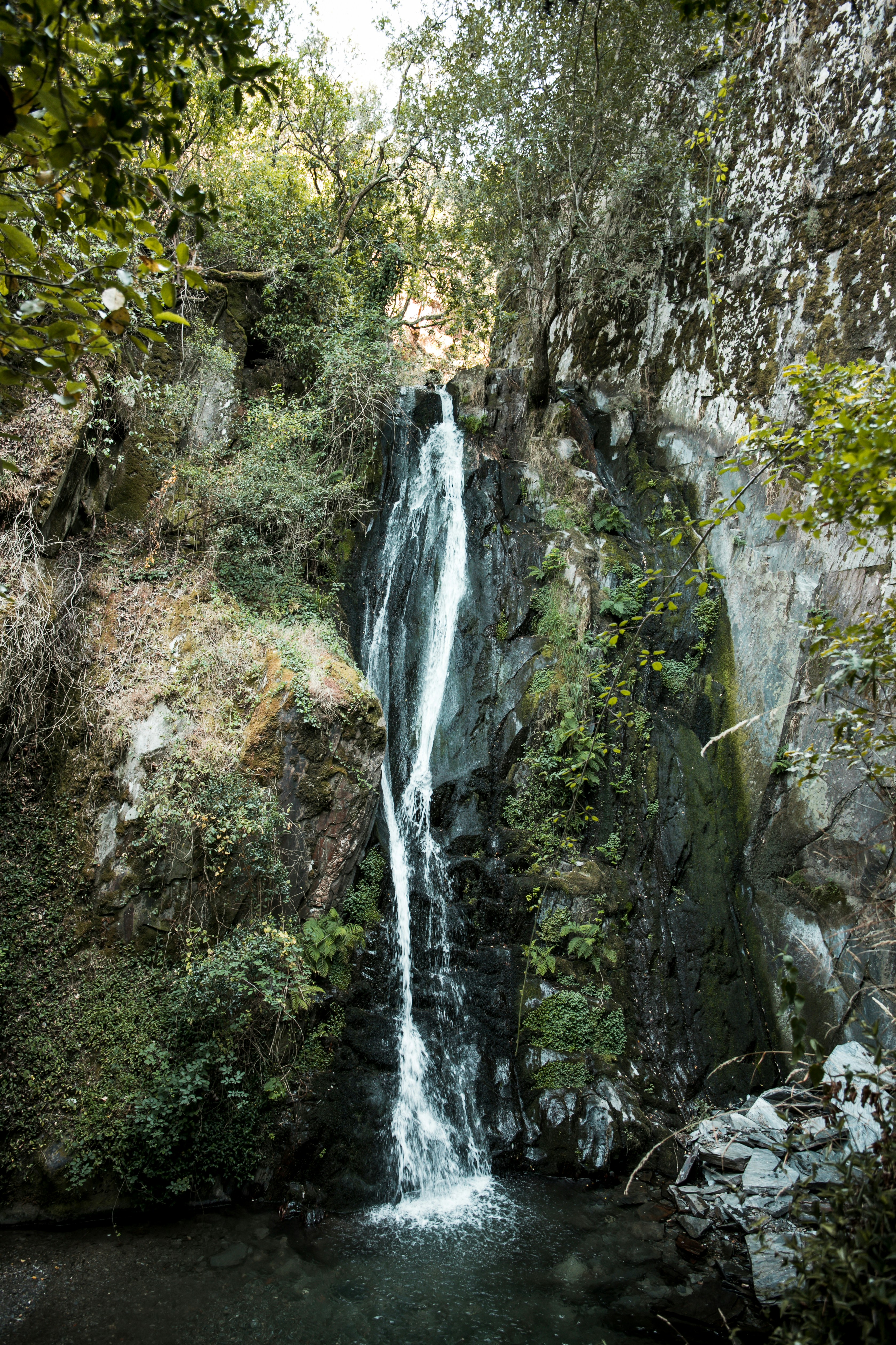 Photo by afonsocoutinhoo