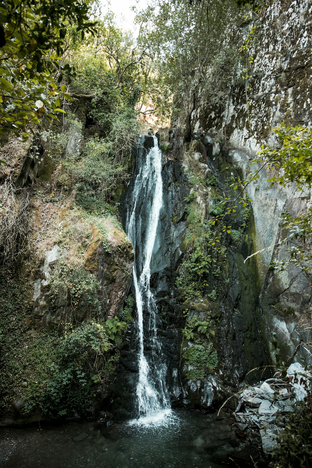 waterfalls photo