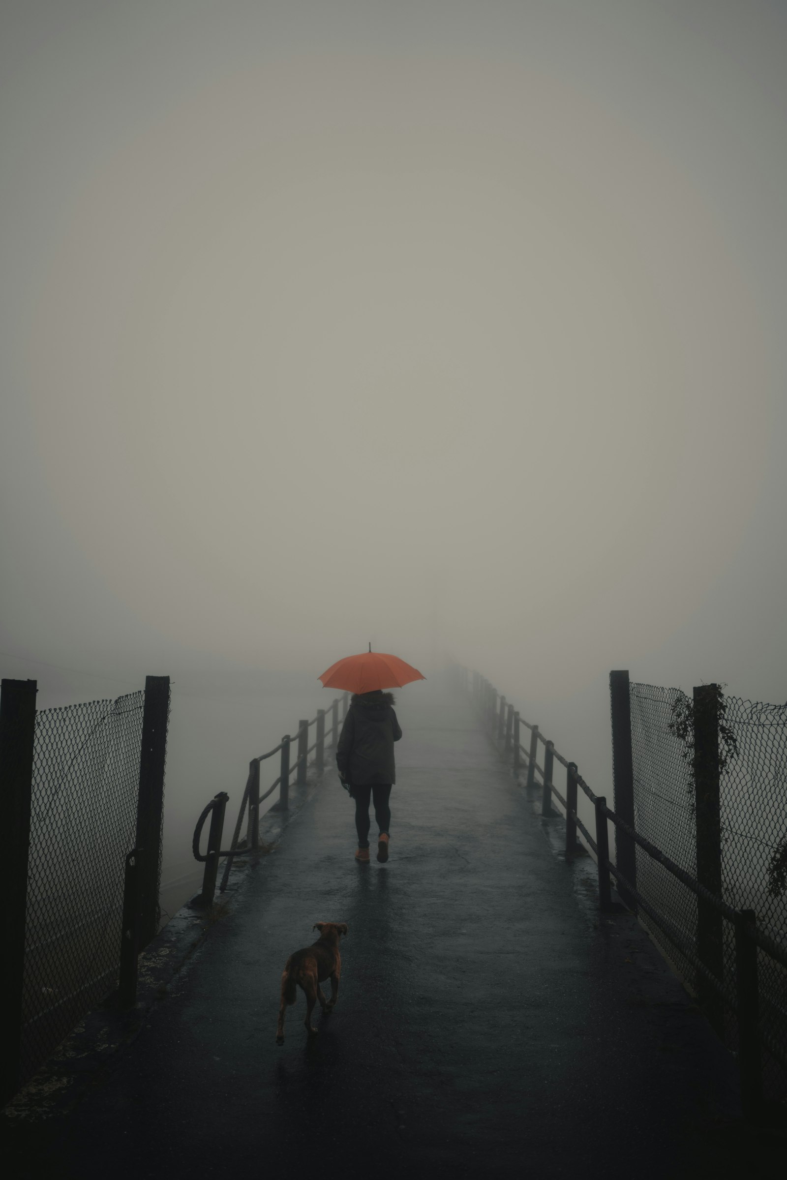 Sony a7R II + Sony Distagon T* FE 35mm F1.4 ZA sample photo. Person walking with umbrella photography