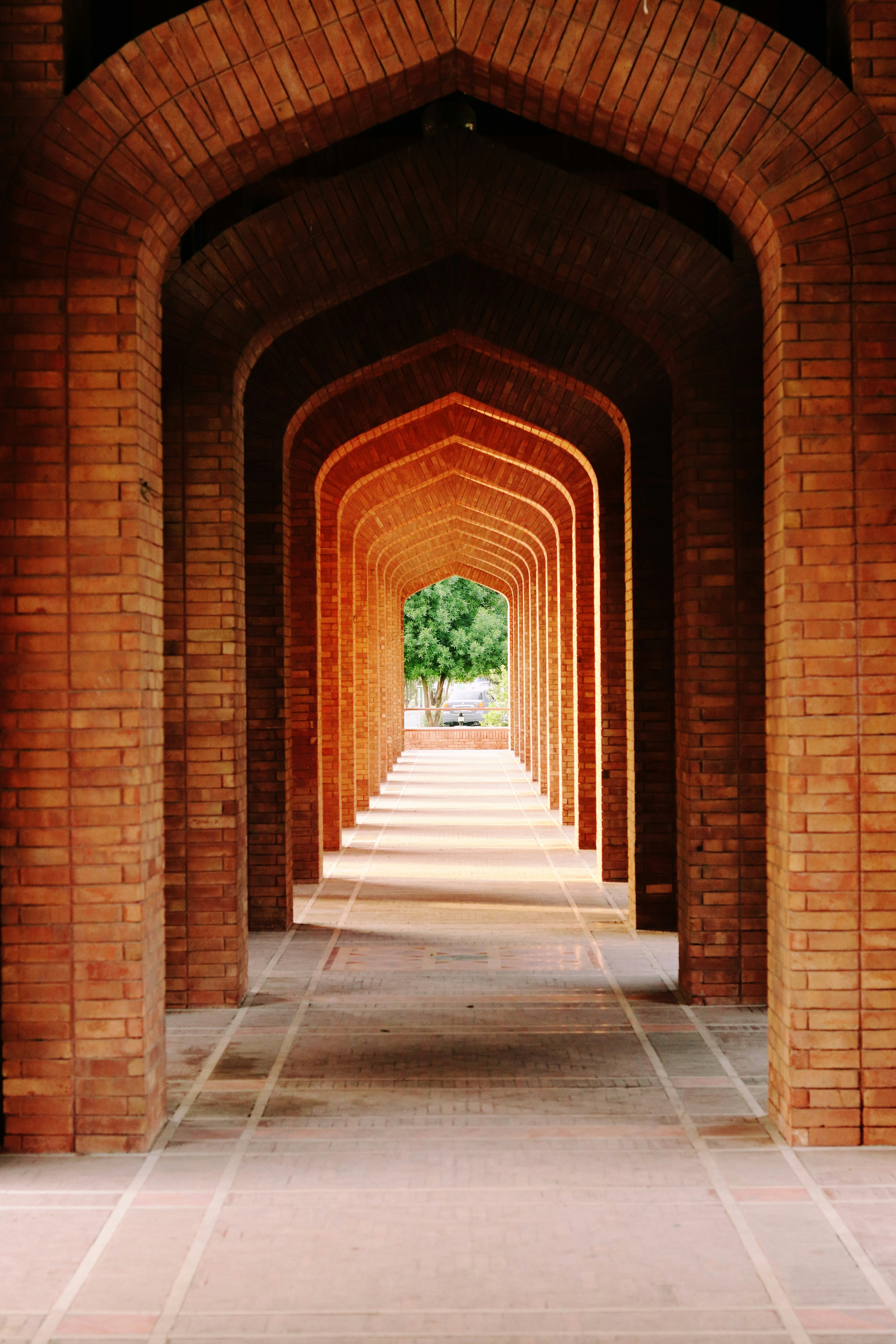 Photo by abuzarxheikh