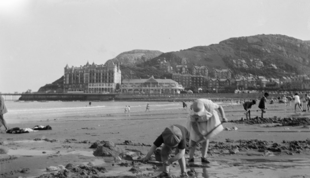 grayscale photography of people cleaning bear beach viewing castle