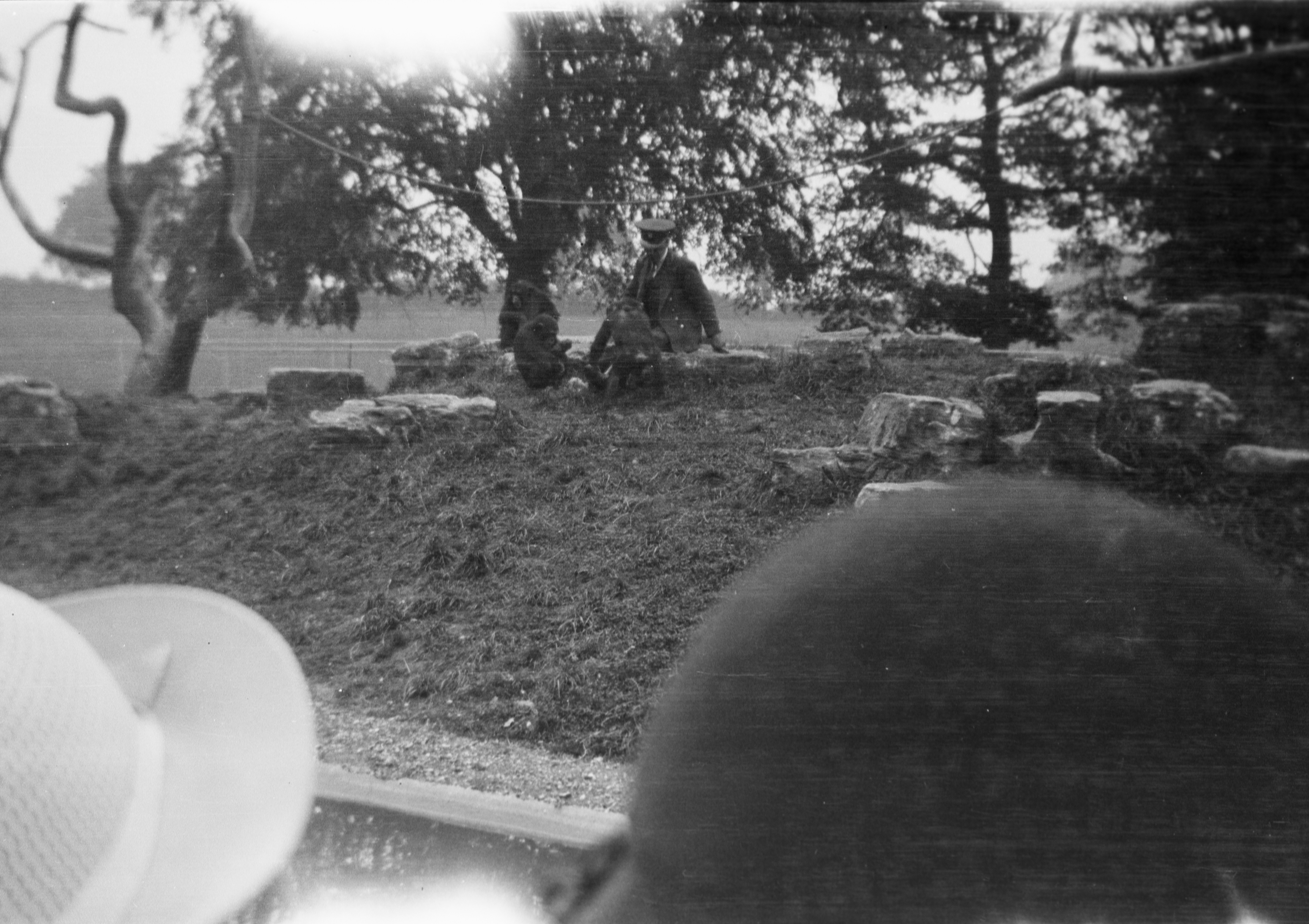 Photo by anniespratt