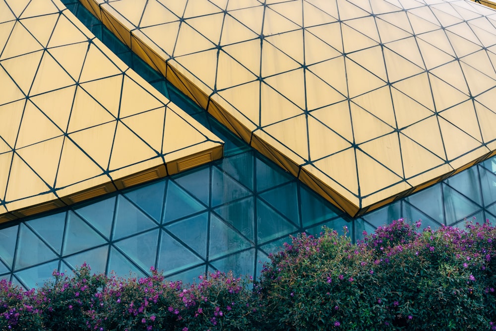 a close up of a building with a lot of windows