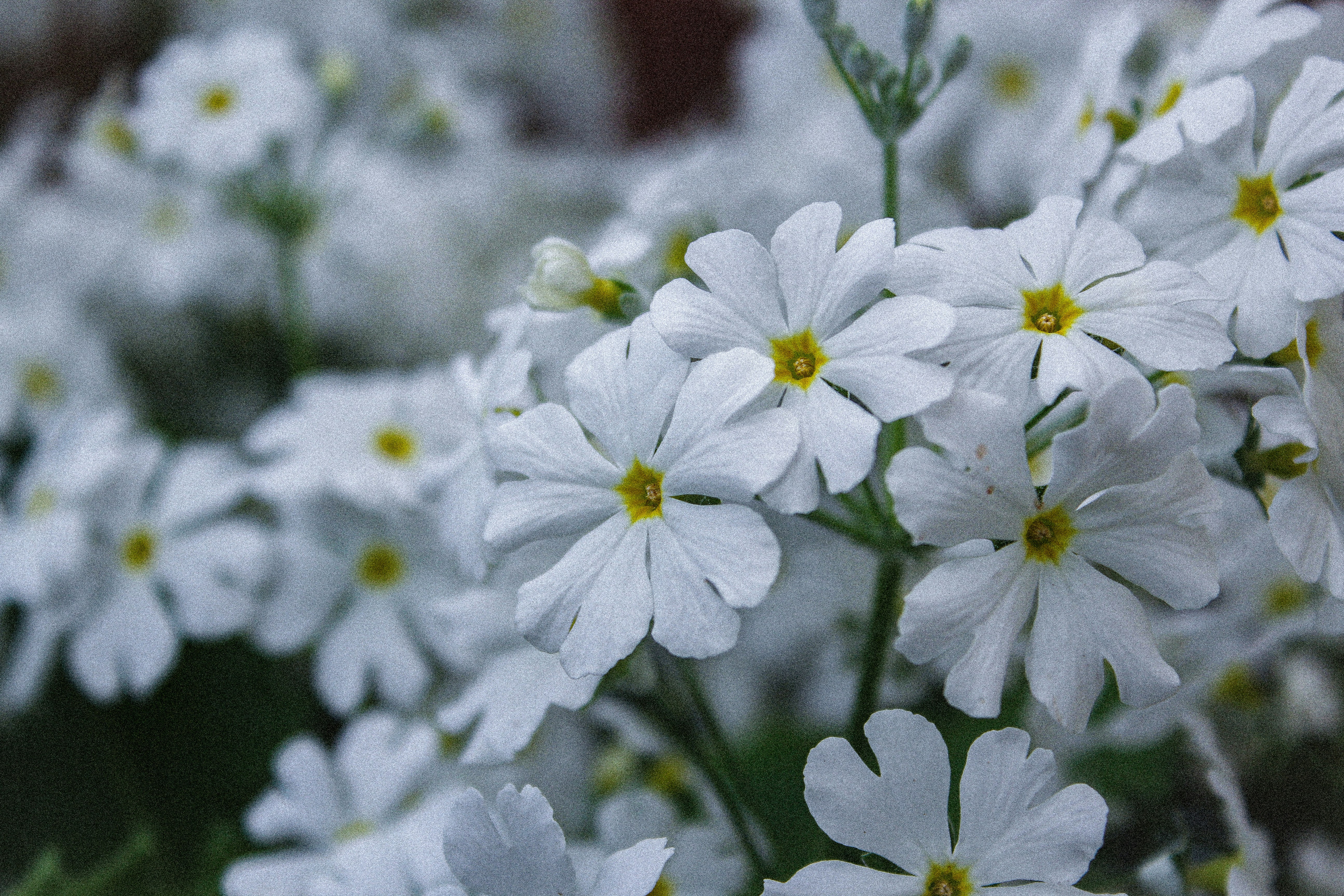 Photo by cassandra_correa