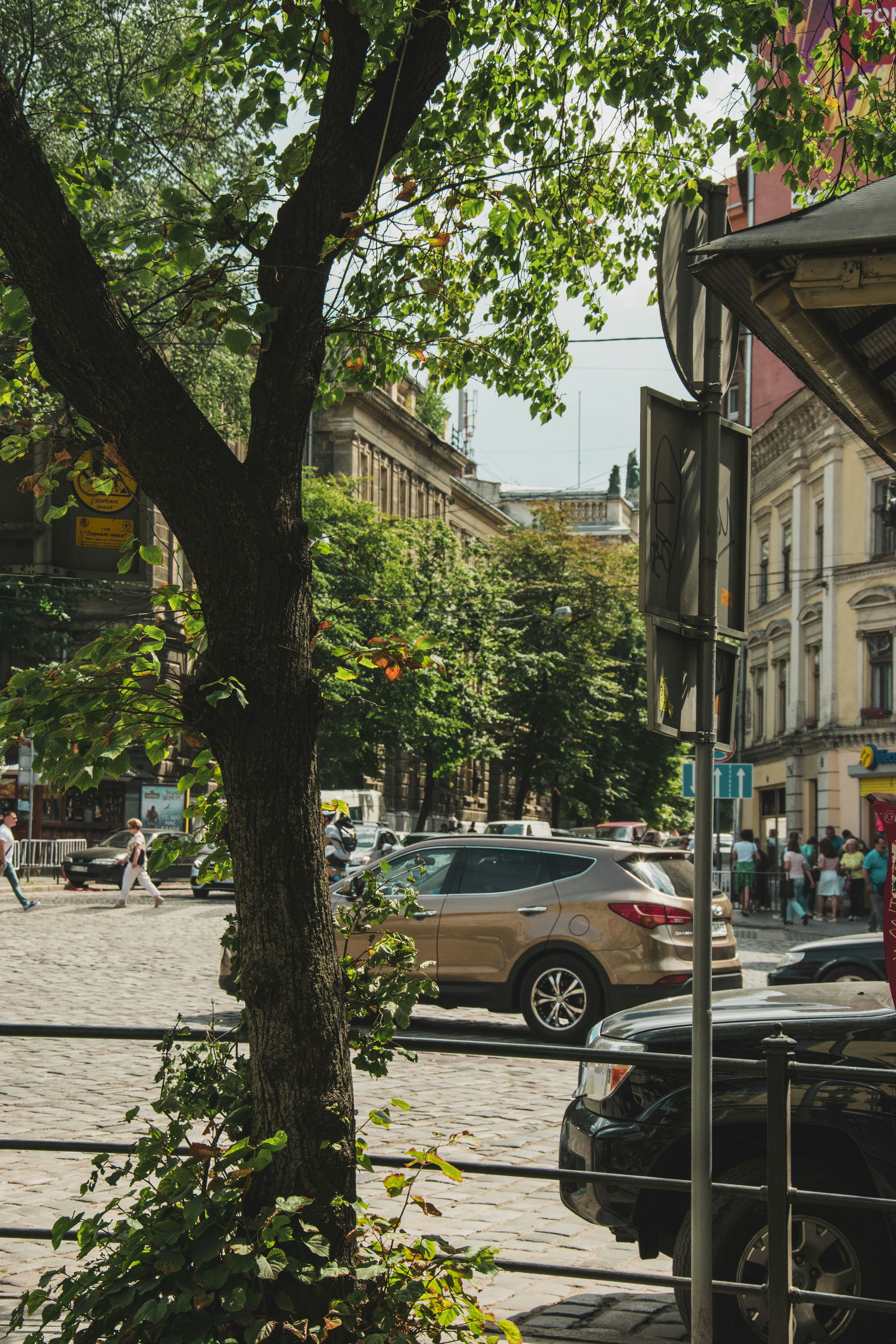 Photo by tetiana_martynenko