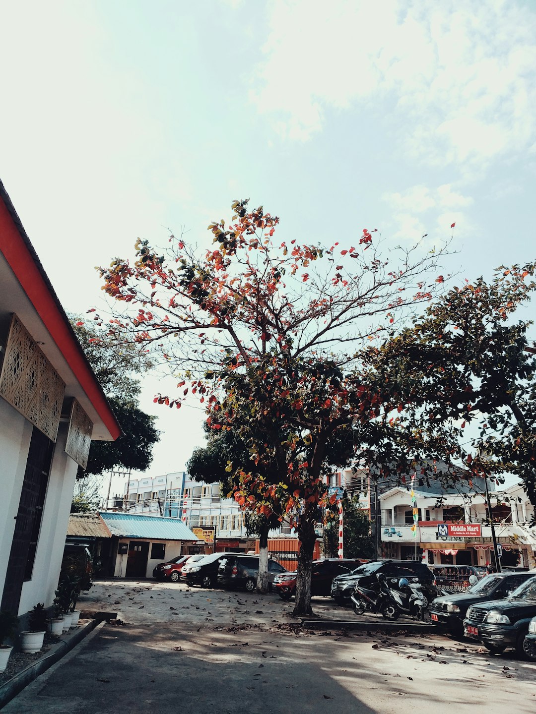Town photo spot Jl. Palapa No.21a Indonesia