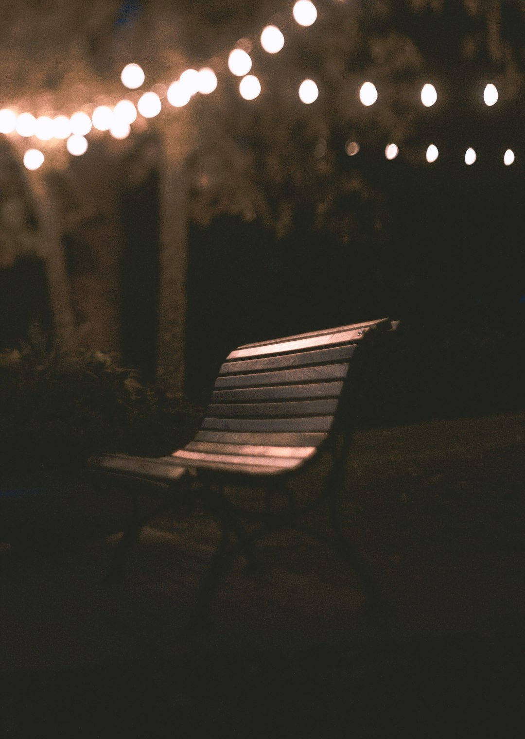 empty brown wooden bench under turned-on string lights