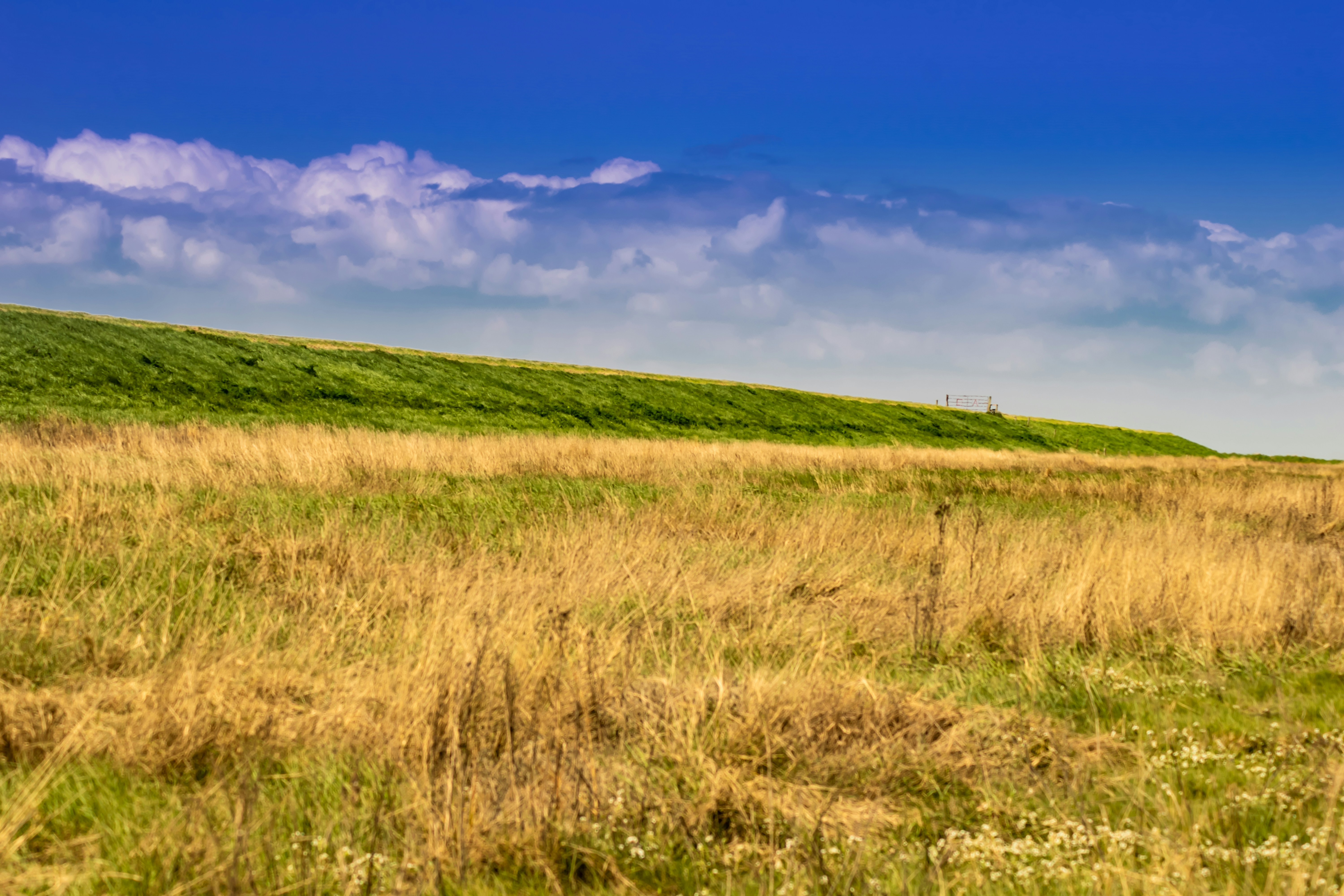 Photo by infernus_666