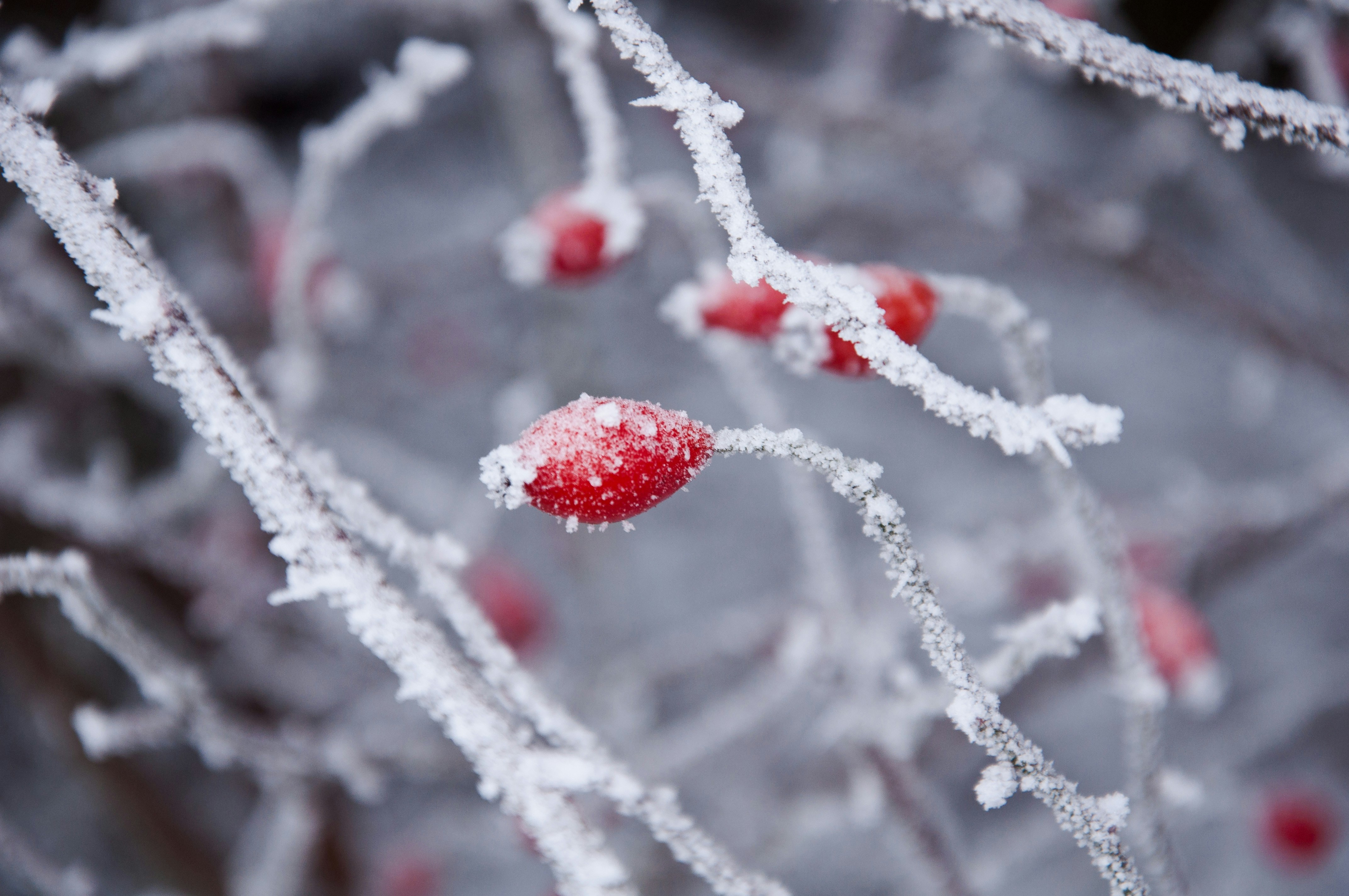 겨울철 뇌졸중 전조증상 및 예방을 위한 혈관 청소 음식 이미지1