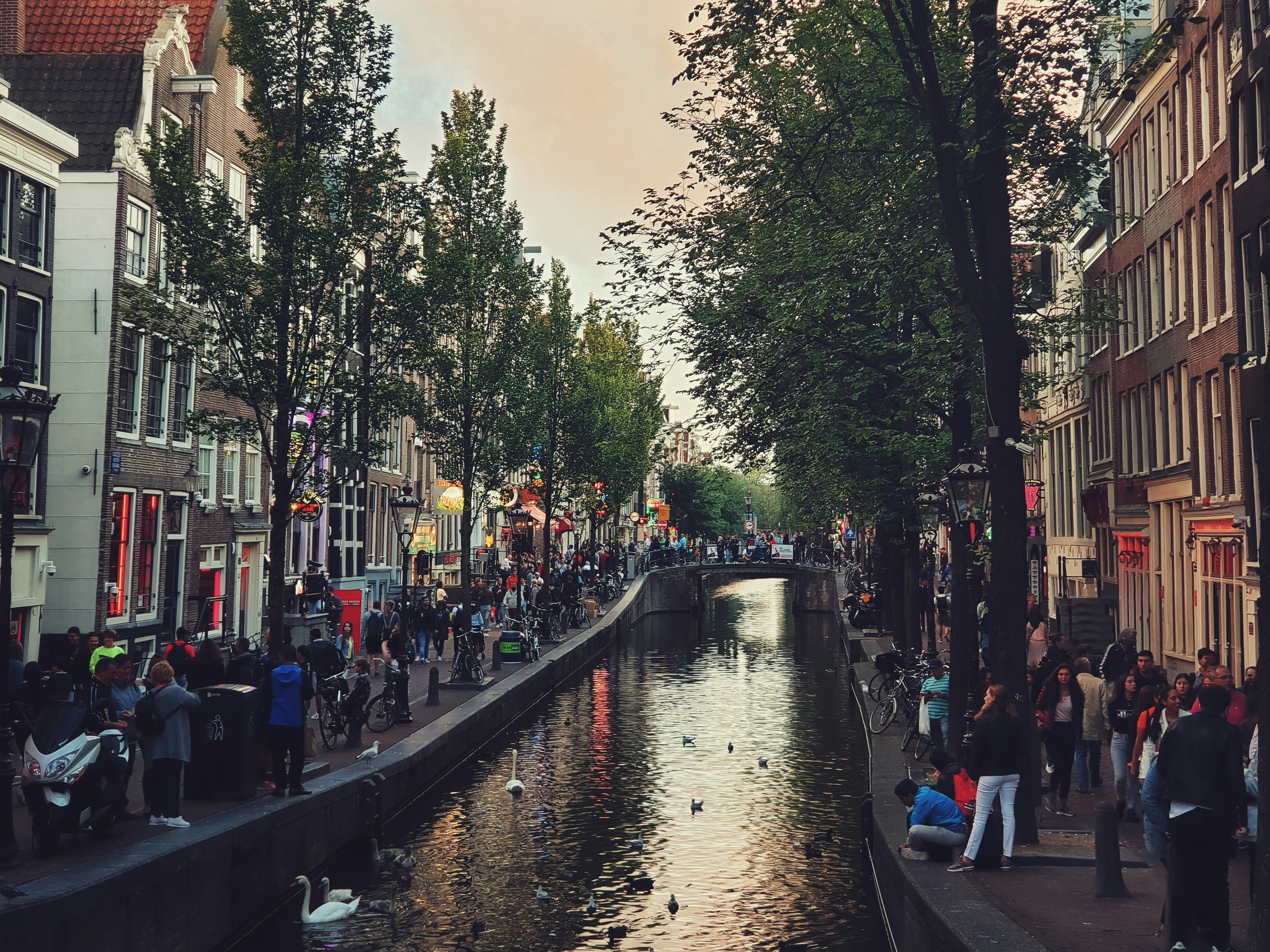 The Red Light District