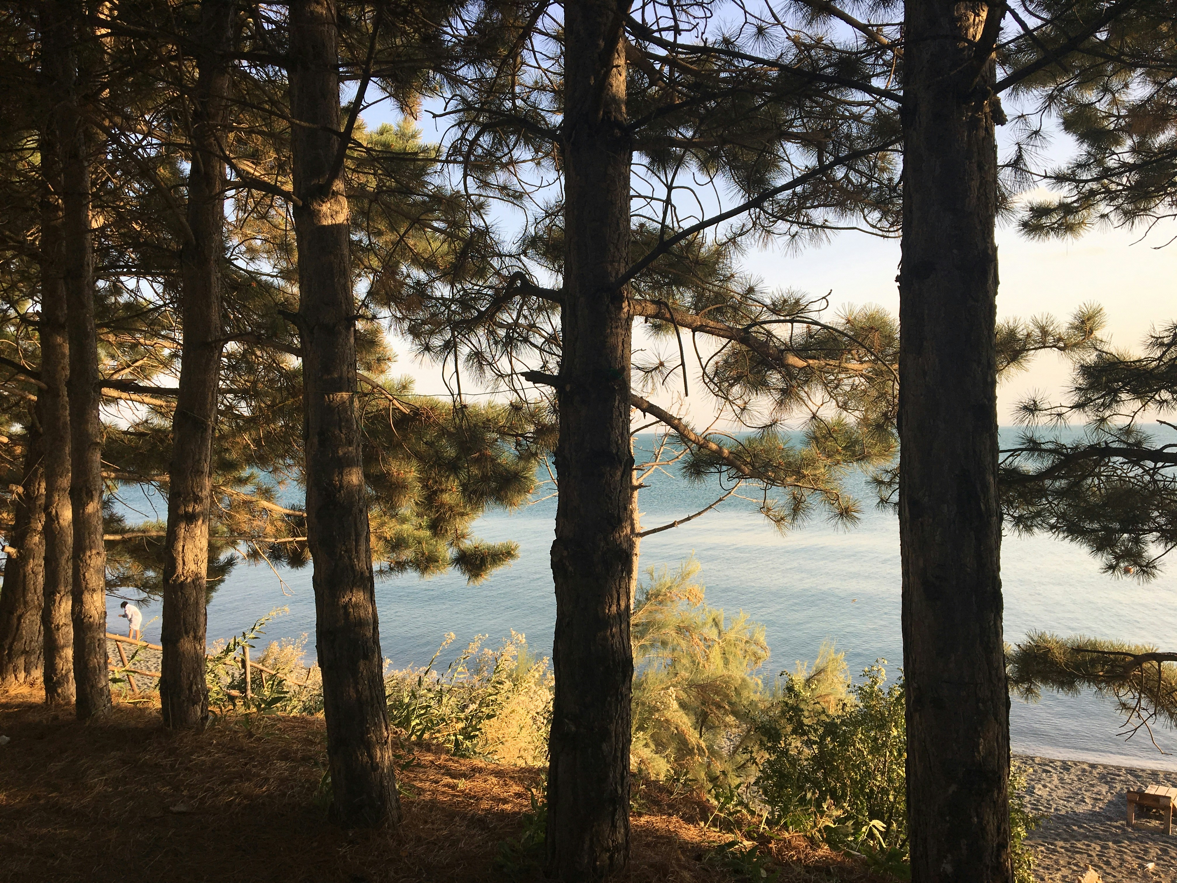 Photo by isakhanyansergey