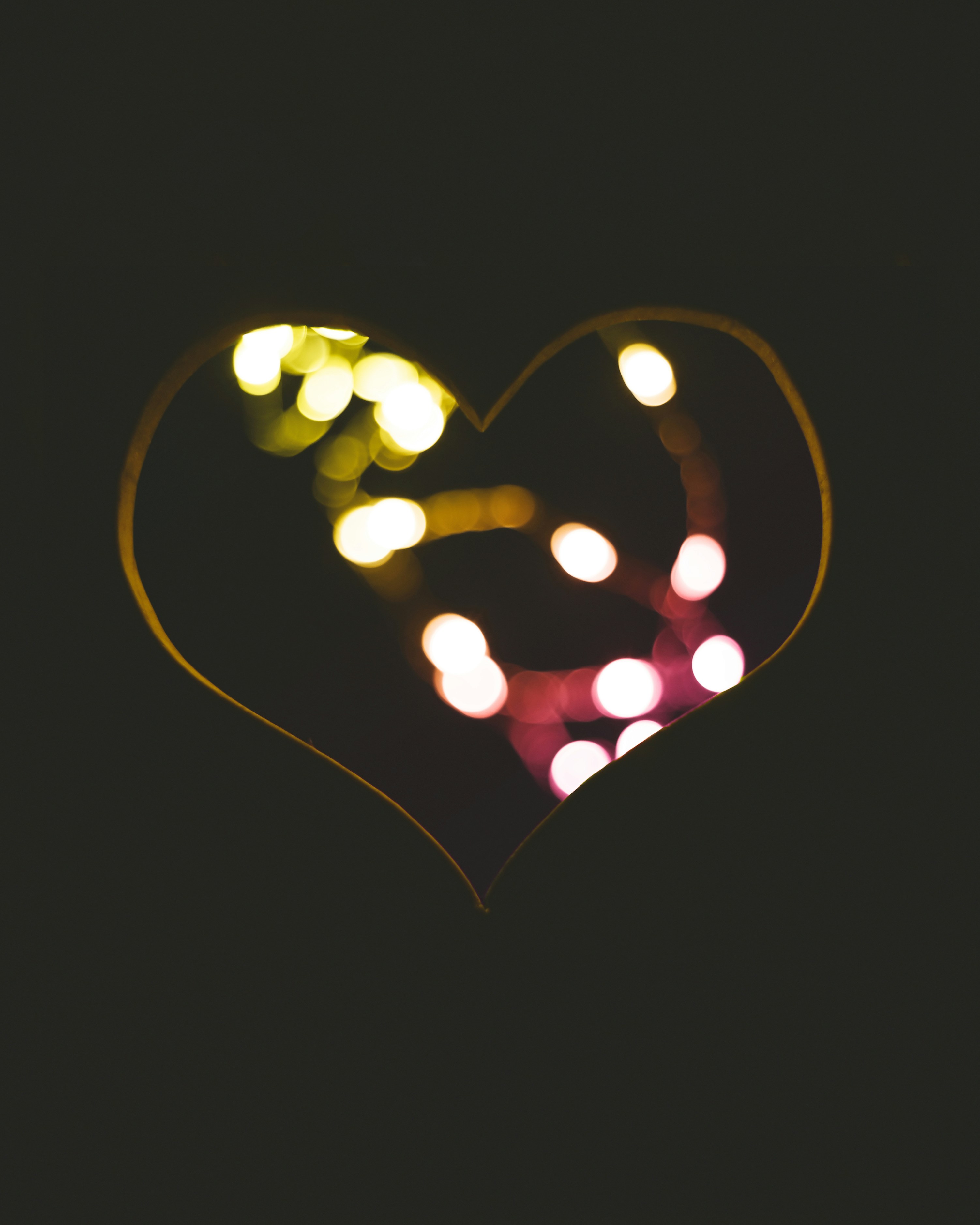 Choose from a curated selection of heart photos. Always free on Unsplash.