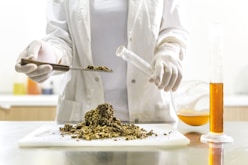 Researchers in lab coats examining herbal samples in the research center.
