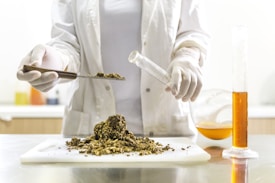 A person wearing a lab coat and gloves is handling dried plant material on a white cutting board. They are using a spatula to place some of it into a test tube or small vial. On the table is a graduated cylinder filled with an orange liquid and a round-bottom flask partially filled with a similar substance.