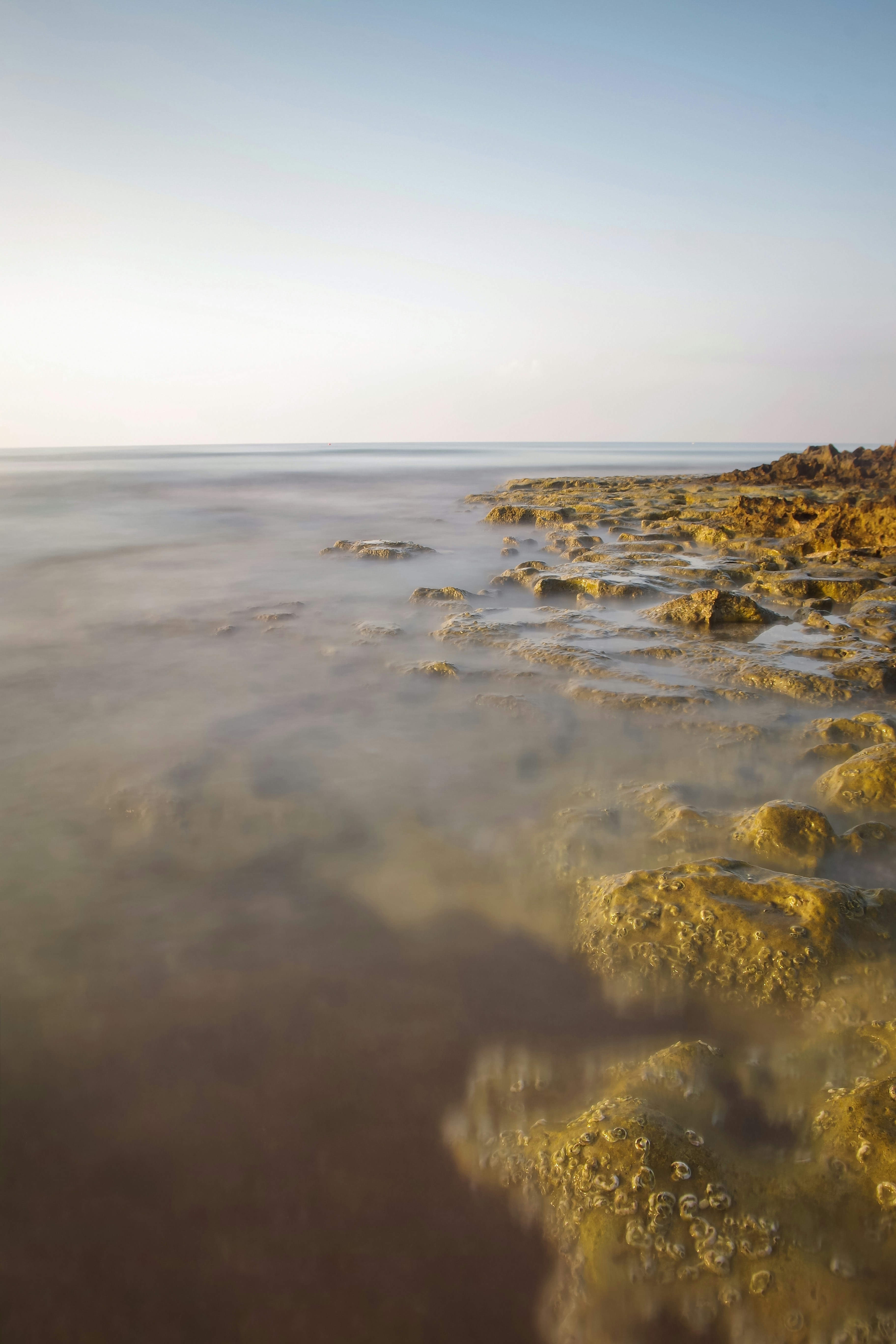 Photo by simonkuznetsovphoto