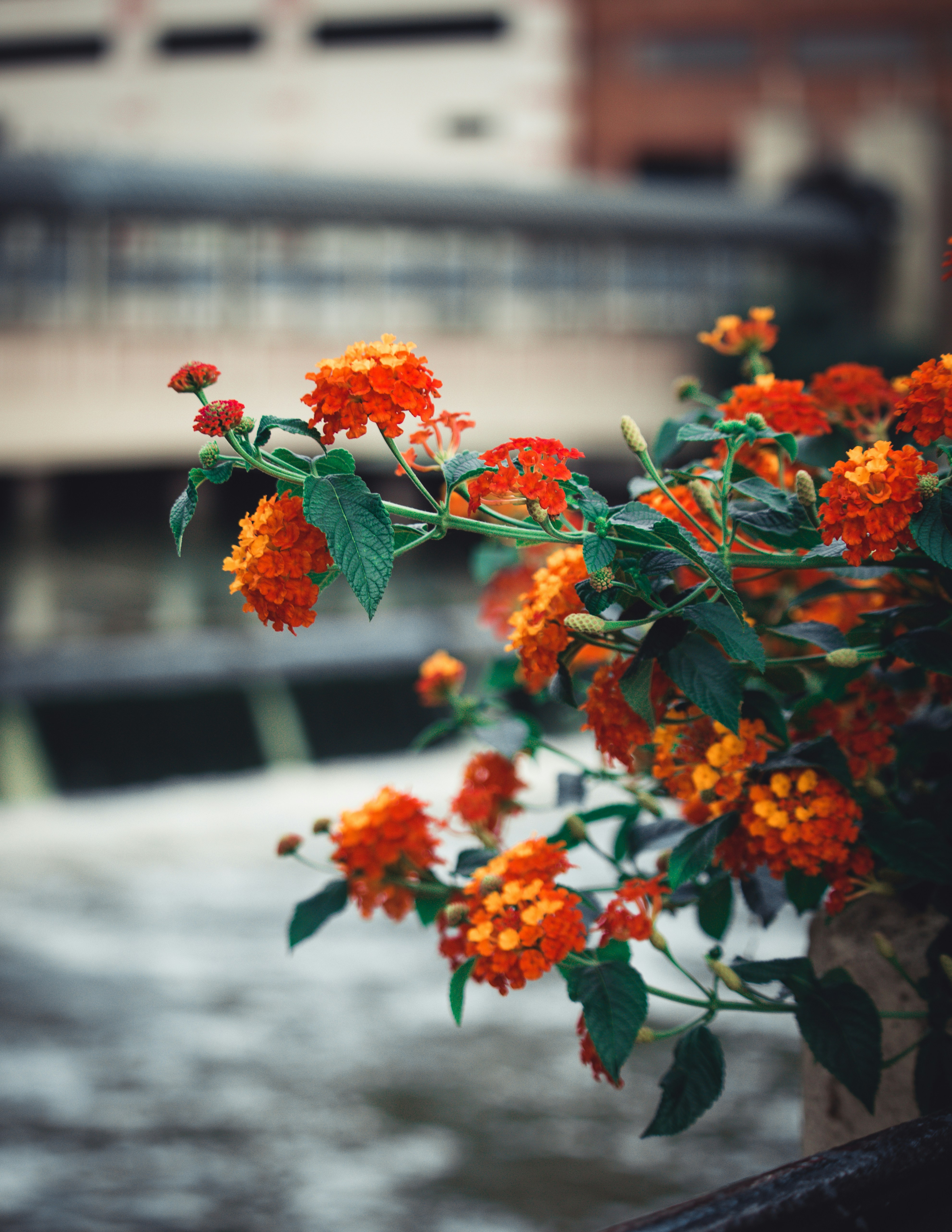 Photo by meberle57