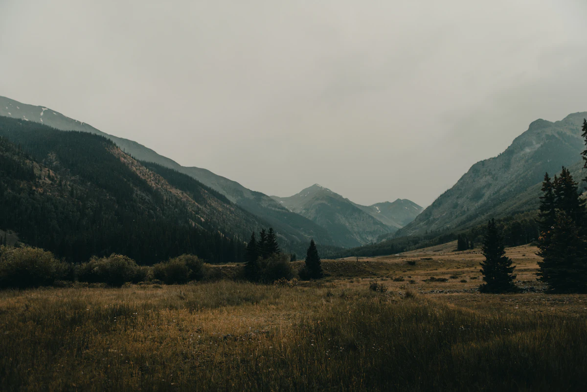 A grassy valley near Lake City with dark conifers and mountains under a grey sky
