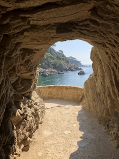 sunlight on cave's mouth during daytime