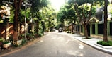 A quiet neighborhood street lined with mature trees and well-kept homes.