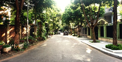 Wide internal road lined with trees in a residential area.
