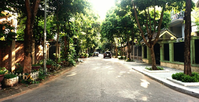A quiet residential street lined with tall trees providing ample shade. There are small gardens with potted plants and fenced areas along the sidewalk. Cars are parked along the side of the road, and the ambient sunlight creates patches of light and shadow.