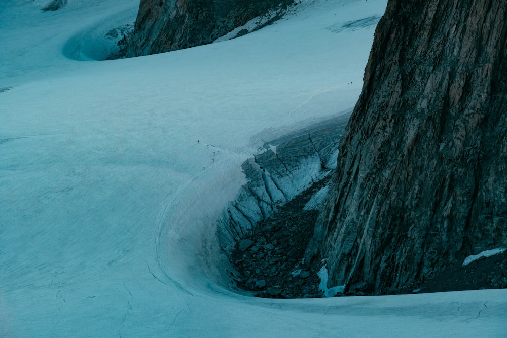 campo coperto di neve e alberi