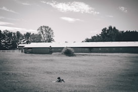 A pastoral scene featuring a large open grassy field with a person lying on the ground. In the background, there is a long barn-like building with a light-colored roof, bordered by tall trees, and a partly cloudy sky.