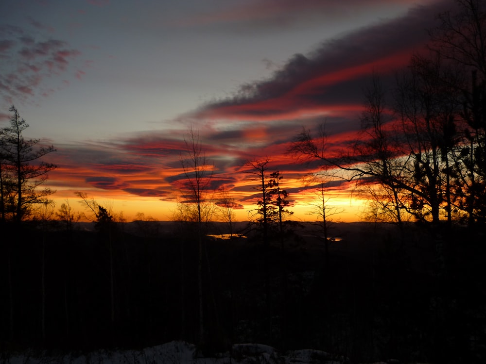 the sun is setting over the trees in the woods