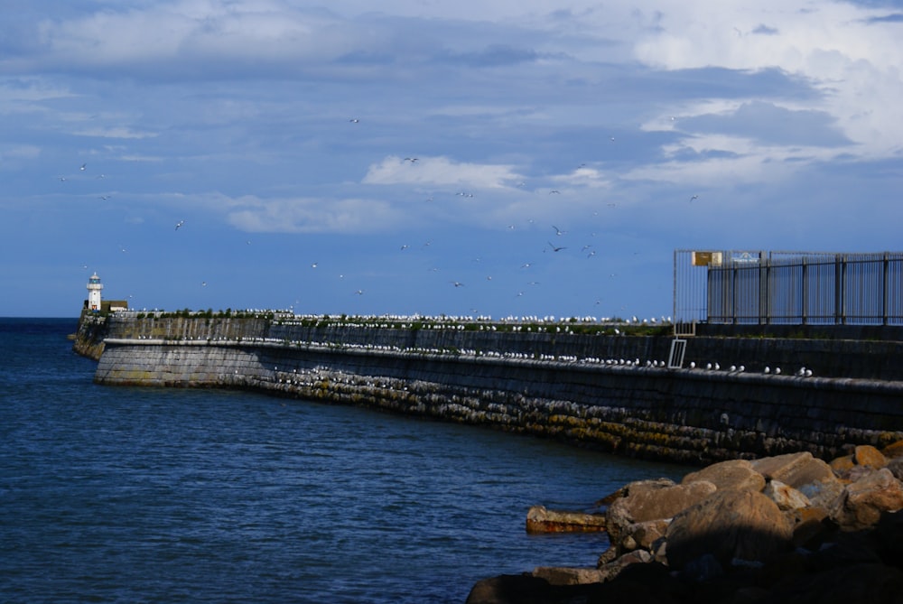 lighthouse near sea