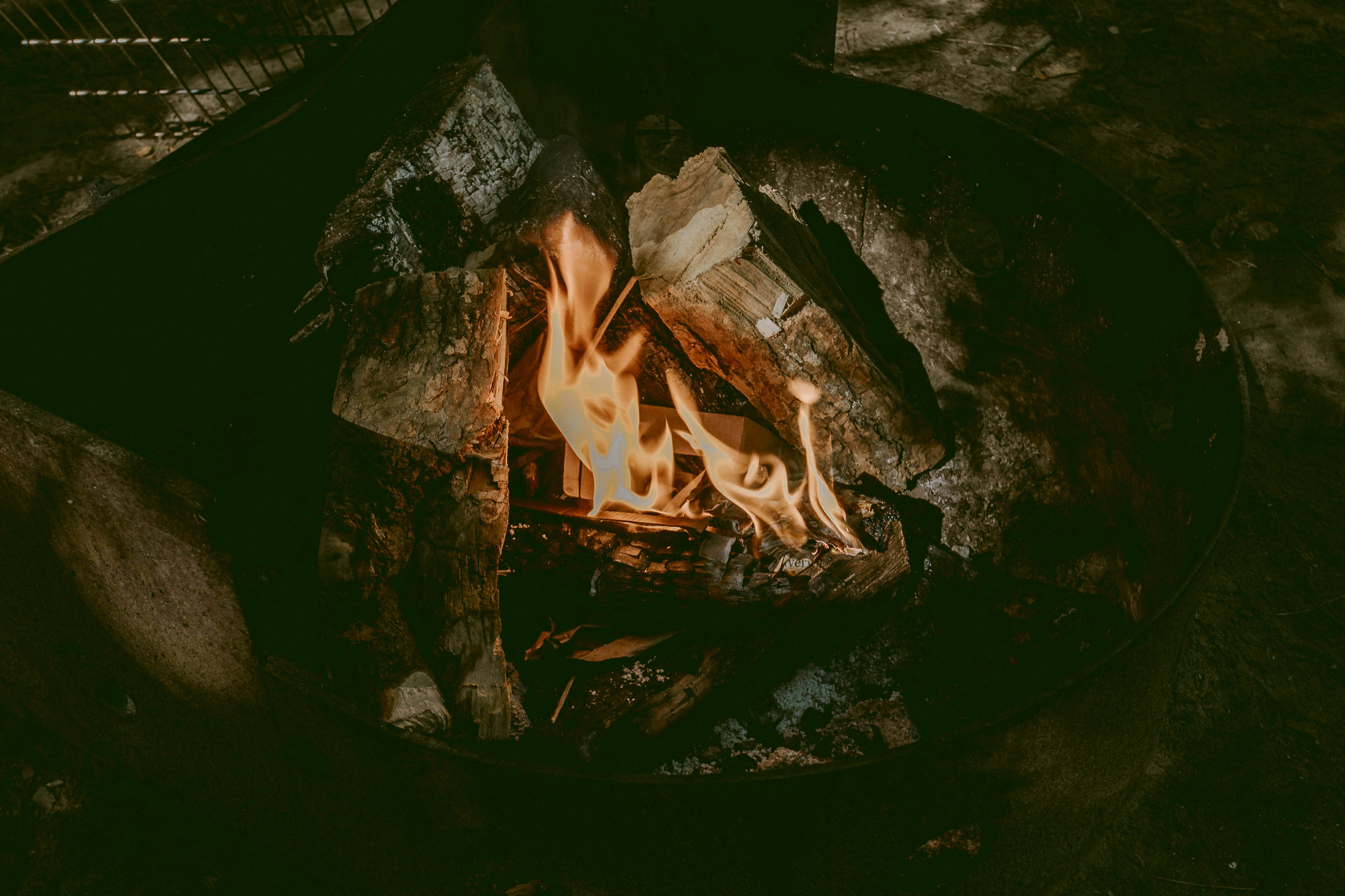 Photo by natashareddy