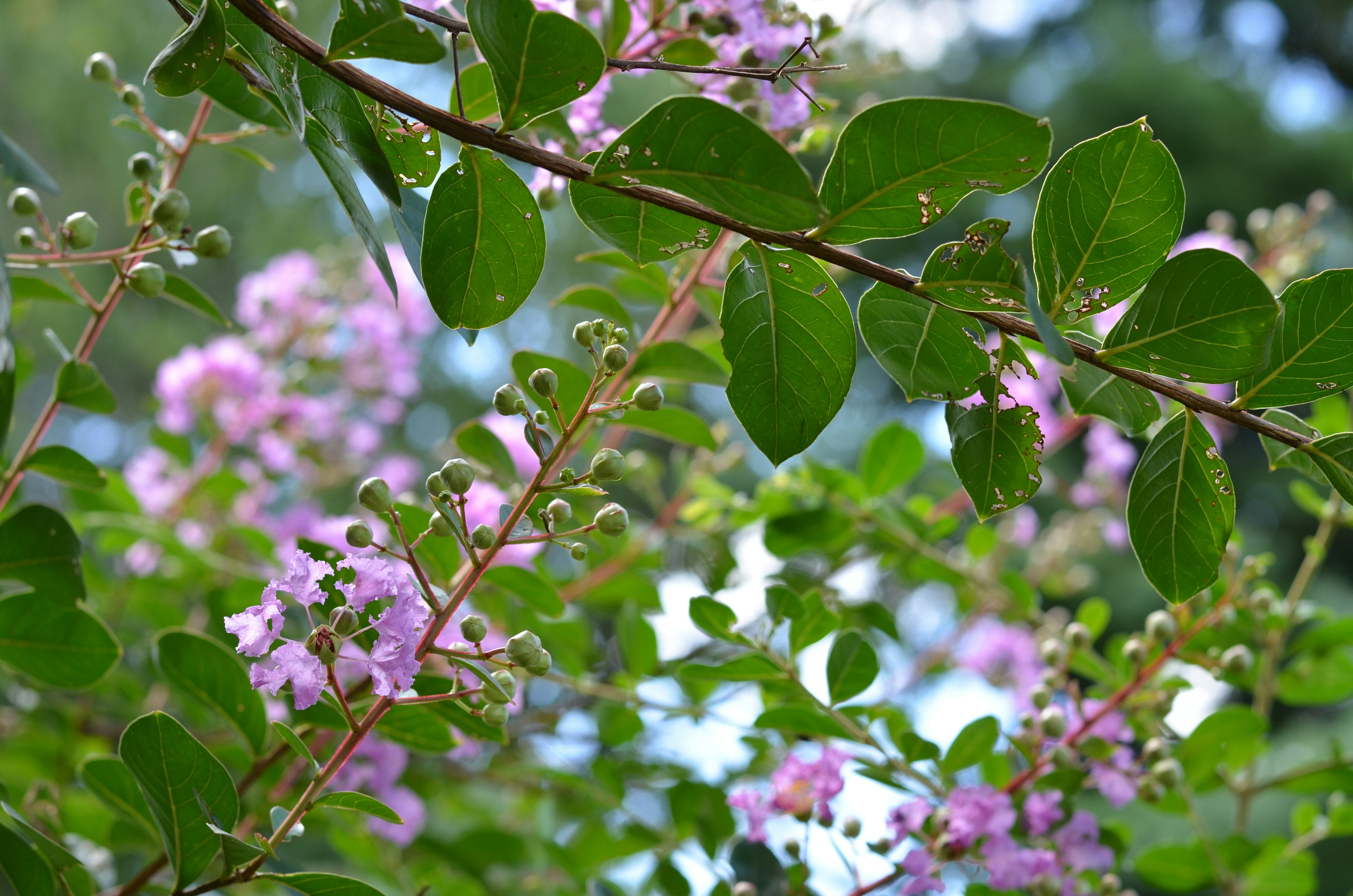 Photo by susie_lovesart1953